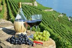 Wines of Italy - 3/23/2023